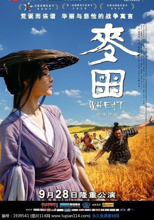 金士顿大学degree